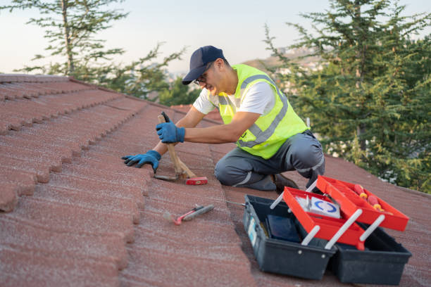 Professional Roofing Contractor in South Monrovia Island, CA