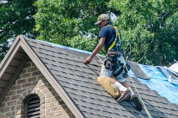 Residential Roof Replacement in South Monrovia Island, CA